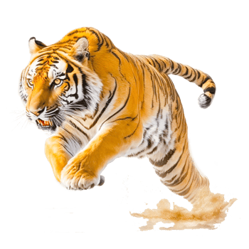 Flying tiger transparent png