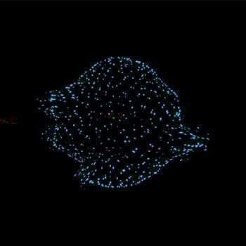 Sphere of dots particles, futuristic shape, sci fi vector