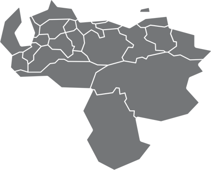 drawing of venezuela map. png