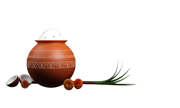 3D Illustration Of Pongal Dish Or Grain In Clay Pot With Marigold Flowers, Coconut, Sugarcane And Copy Space. png