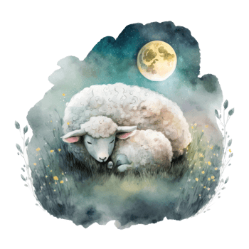 Cute watercolor night sheep. Illustration png
