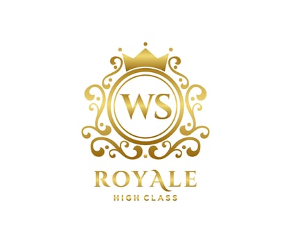 Golden Letter WS template logo Luxury gold letter with crown. Monogram alphabet . Beautiful royal initials letter. vector