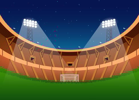 Soccer Stadium frog eye at night vector