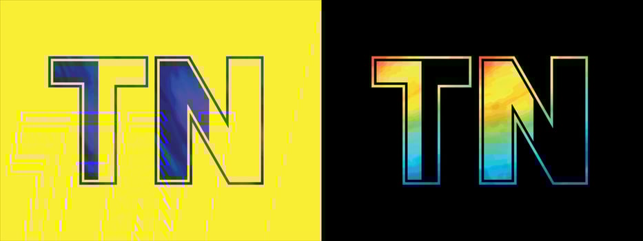 Letter TN logo design vector template. Creative modern luxurious logotype for corporate business identity