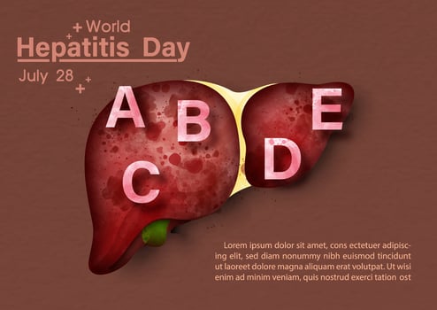 Human liver with English letters in Concept of hepatitis A, B, C, D, and world hepatitis day poster's campaign in watercolors style on brown background. vector