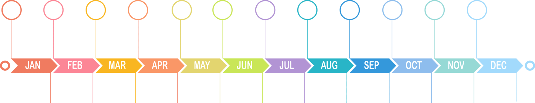 Infographic 12 steps Timeline in 1 year template business data illustration png