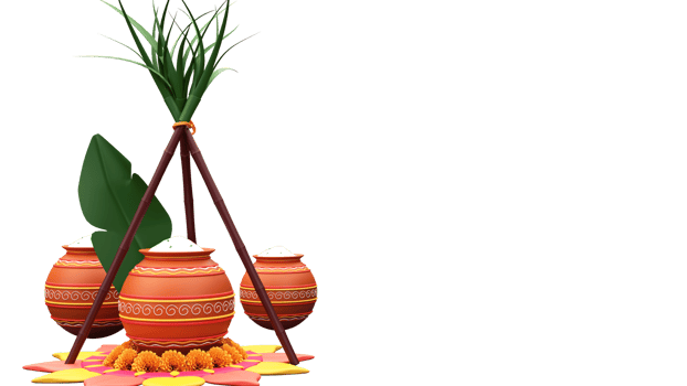 3D Mud Pots Full Of Pongal Dish Over Rangoli With Marigold Flowers, Banana Leaf, Sugarcanes And Copy Space. png