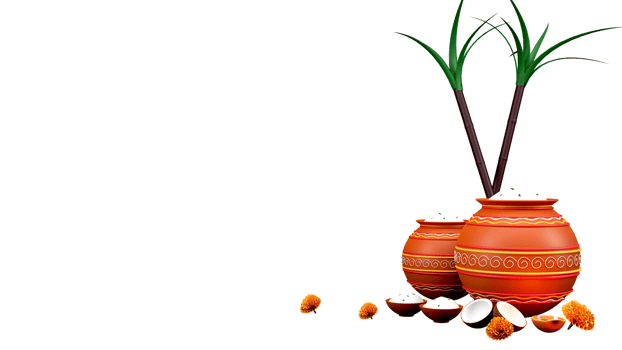 3D Mud Pot With Bowls Full Of Pongali Rice Or Grain With Sugarcanes, Coconut, Lit Oil Lamp, Marigold Flowers Decorated Background And Copy Space. png