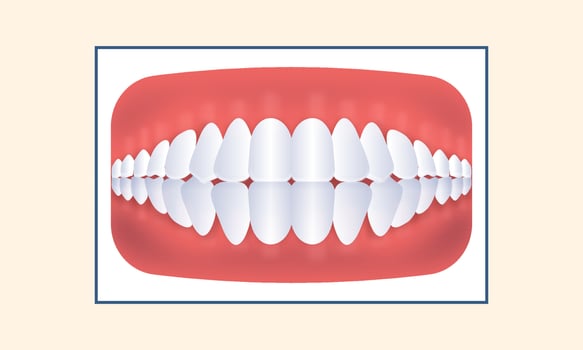 Normal Teeth Jaw Icon Against Yellow Background. vector