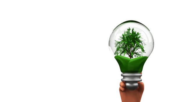 3D Human Hand Holding Eco Friendly Bulb And Copy Space. png