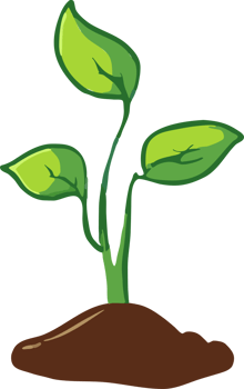 Sprout png graphic clipart design