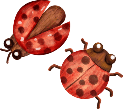 watercolor Ladybug clip art png