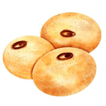 watercolor Soy bean png
