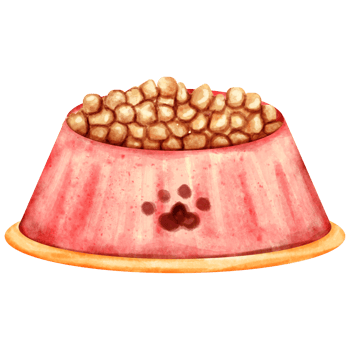 watercolor pet bowl png