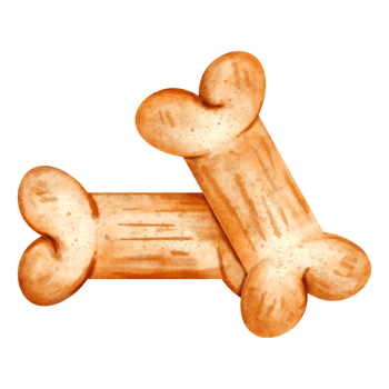 watercolor pet toy png
