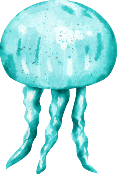 watercolor jellyfish ocean png