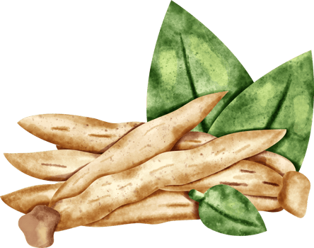 watercolor Finger root png