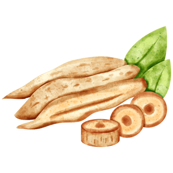 watercolor Finger root png