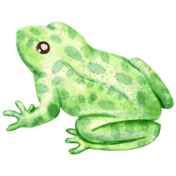 watercolor frog clip art png