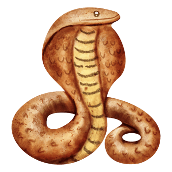 watercolor cobra clip art png