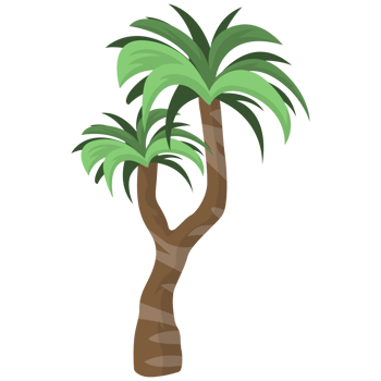 Tropical Plants Tree PNG Illustrations