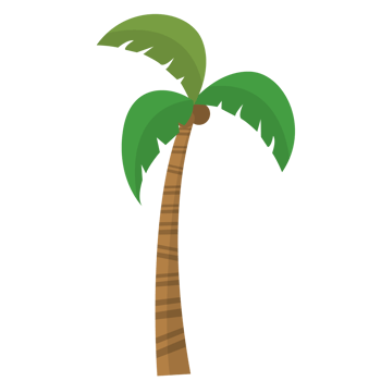 Coconut Tree PNG Illustrations