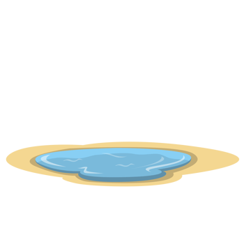 Oasis PNG Illustrations