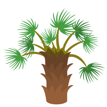 Palm Tree PNG Illustrations