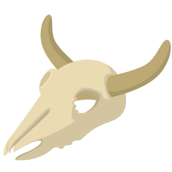 Bull Skull PNG Illustrations