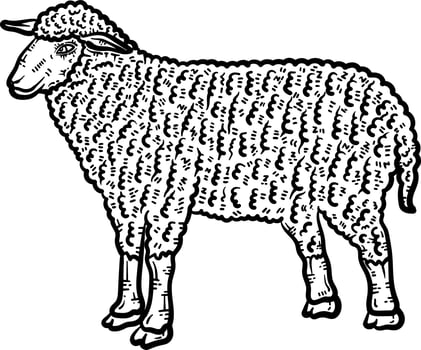 Sheep Animal Coloring Page for Adults vector