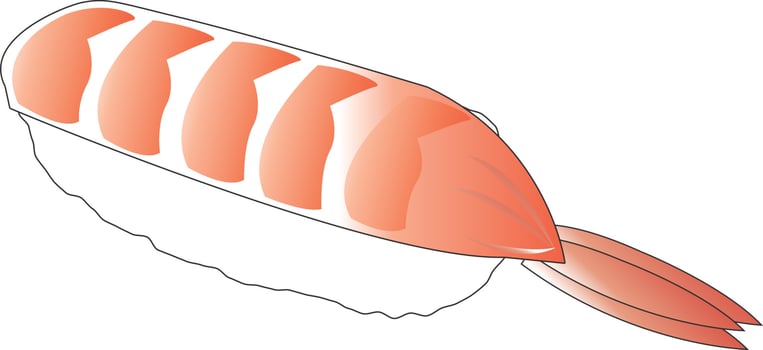 sushi Illustration Vector