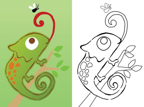 Vector cartoon of chameleon on tree branches with a fly, coloring book or page