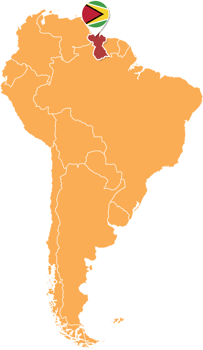 Guyana map in South America, Icons showing Guyana location and flags. png