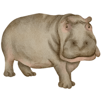 watercolor hippopotamus clip art png