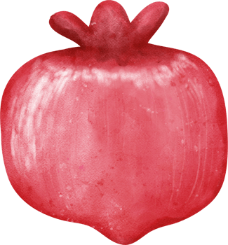 cute  tropical pomegranate watercolour hand painting png
