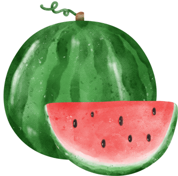 cute fresh watermelon fruit watercolor png