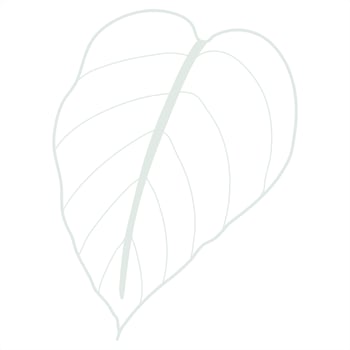 Line art leaf vector