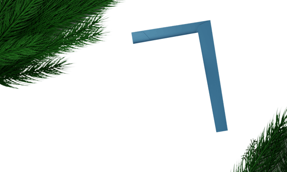 Greeting Card With Xmas Trees And Fir Leaves. png