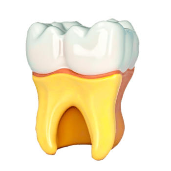 cartoon teeth illustration png