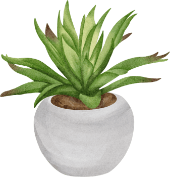 watercolor succulent clip art png
