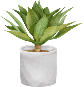 watercolor agave plant png