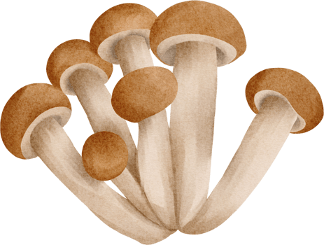 watercolor mushroom clip art png