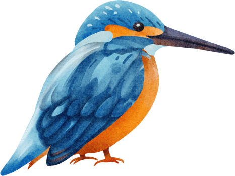watercolor bird clip art png