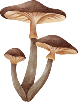 watercolor mushroom clip art png