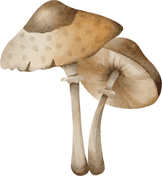 watercolor mushroom parasol png