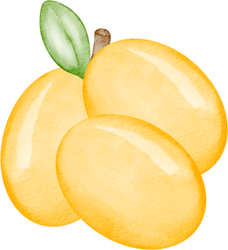 watercolor plum fruit png