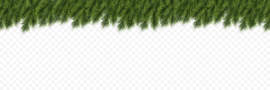 Festive Christmas or New Year Background. Christmas Tree Branches. Holiday's Background. Vector illustration