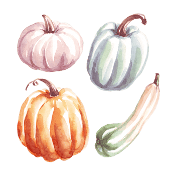 Pumpkins. Autumn mood. Watercolor clipart png