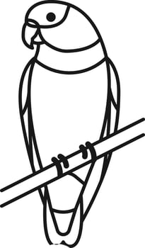 Bird Illustration Vector