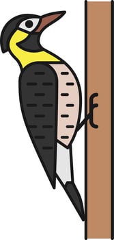 Bird Illustration Vector